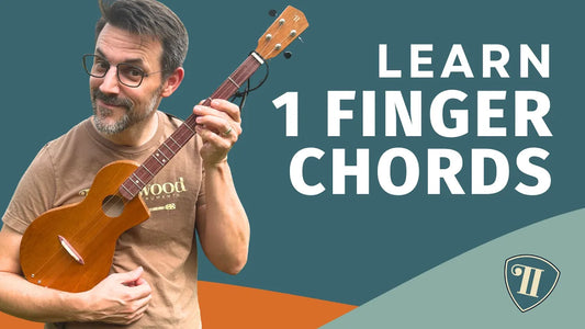 1... Play your first song in minutes(!) w/ 1-Finger Chords | Dulcimer Guitar