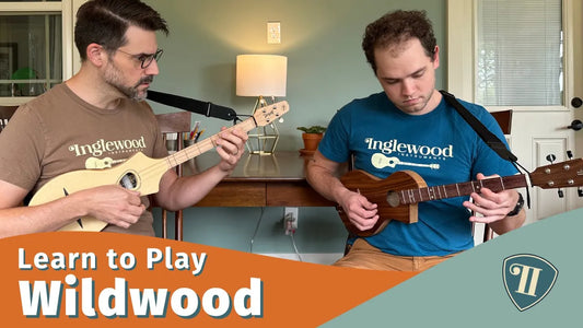 "Wildwood Flower" FREE Lesson on Dulcimer Guitar