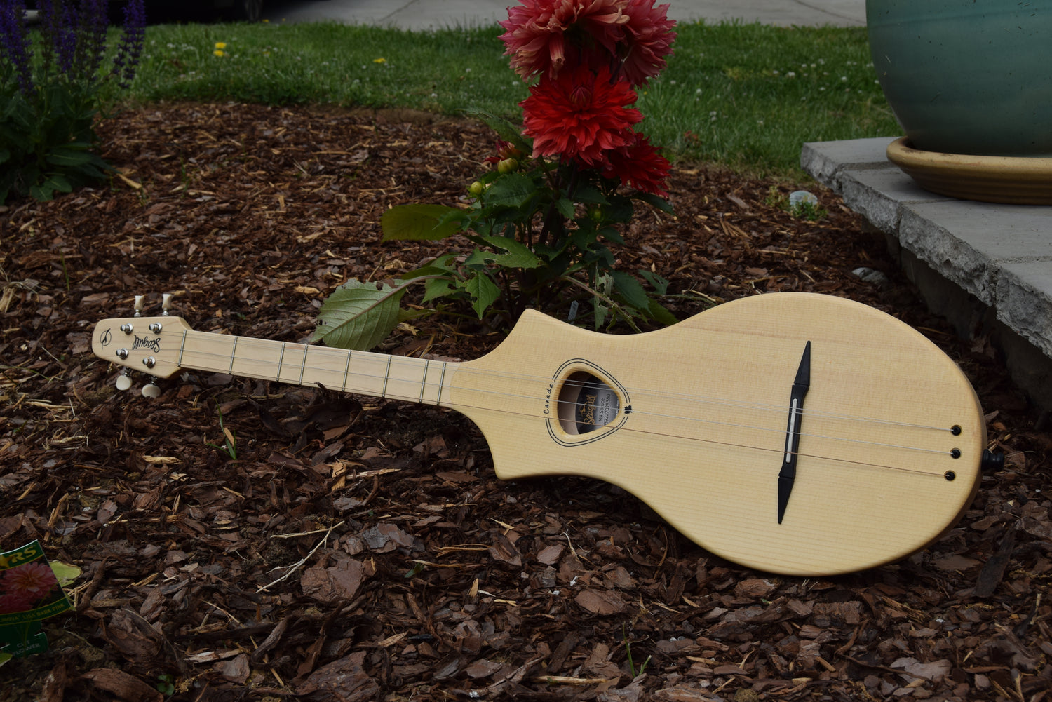 spruce top seagull merlin m4 stick dulcimer in a garden