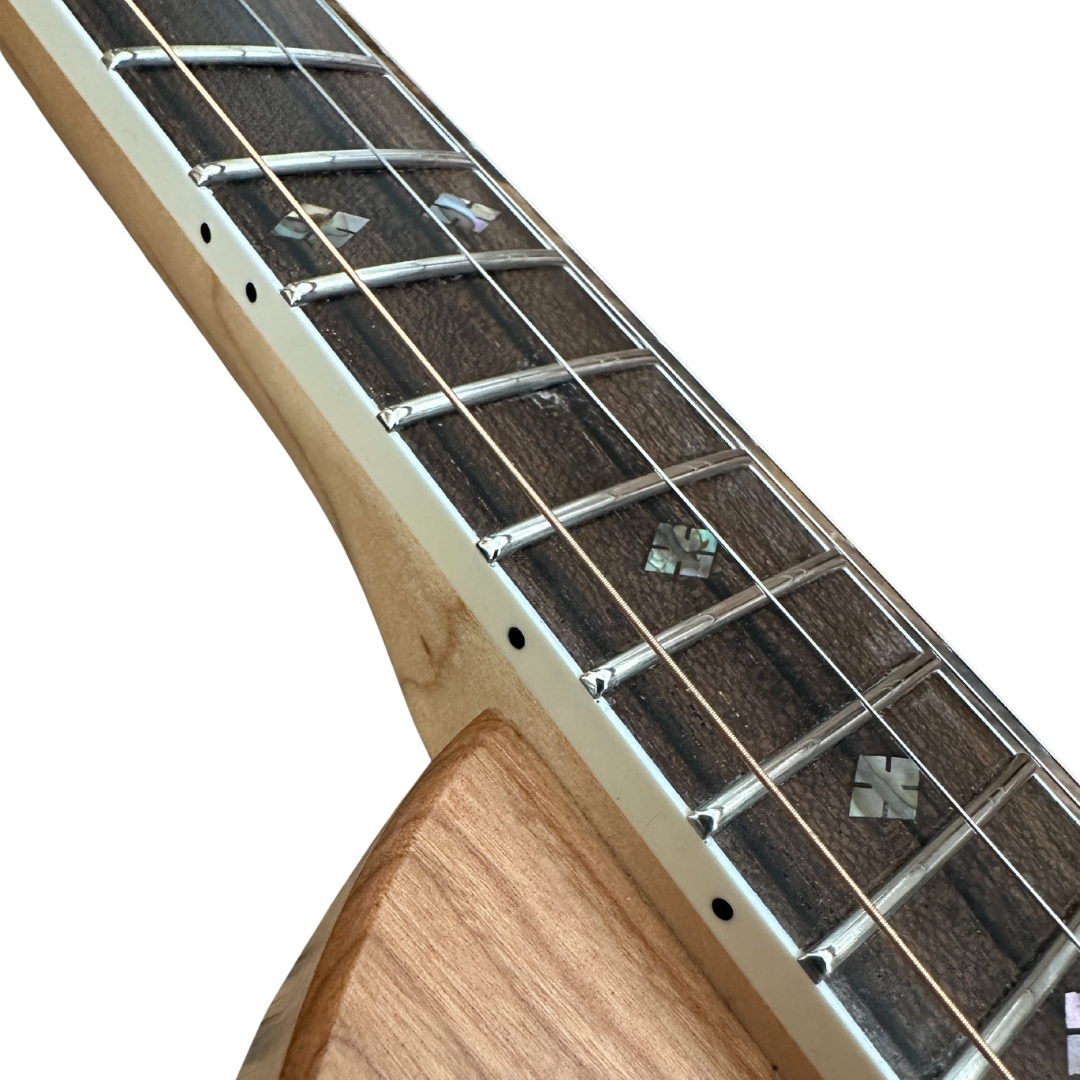 “The Cumberland” Chromatic River Dulcimer, Special Edition, Flame Maple Back