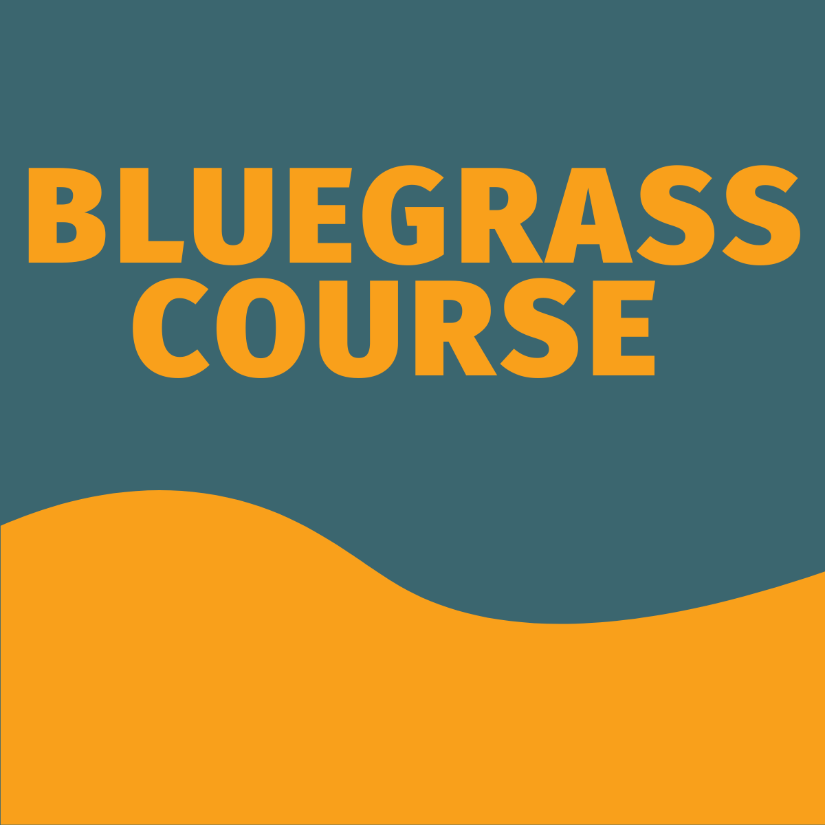 Learn to Play: Bluegrass Course (NEW!)