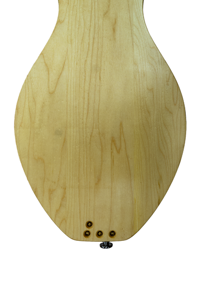 Boondocker Trailhead Acoustic (Mahogany Top)