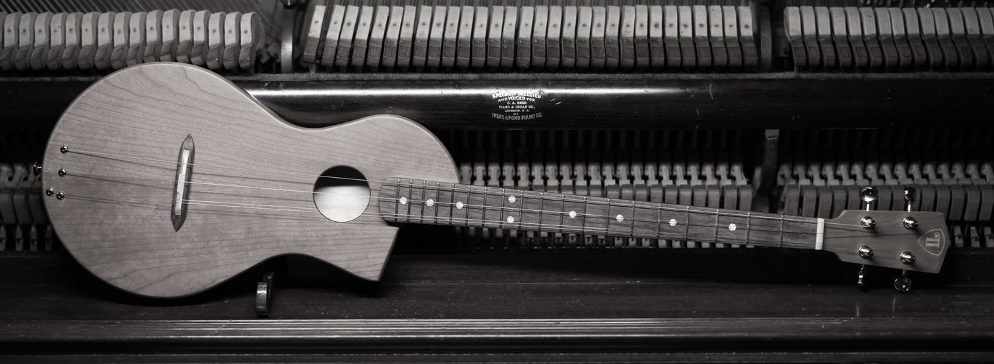 “The Cumberland” Chromatic River Dulcimer, Player's Edition