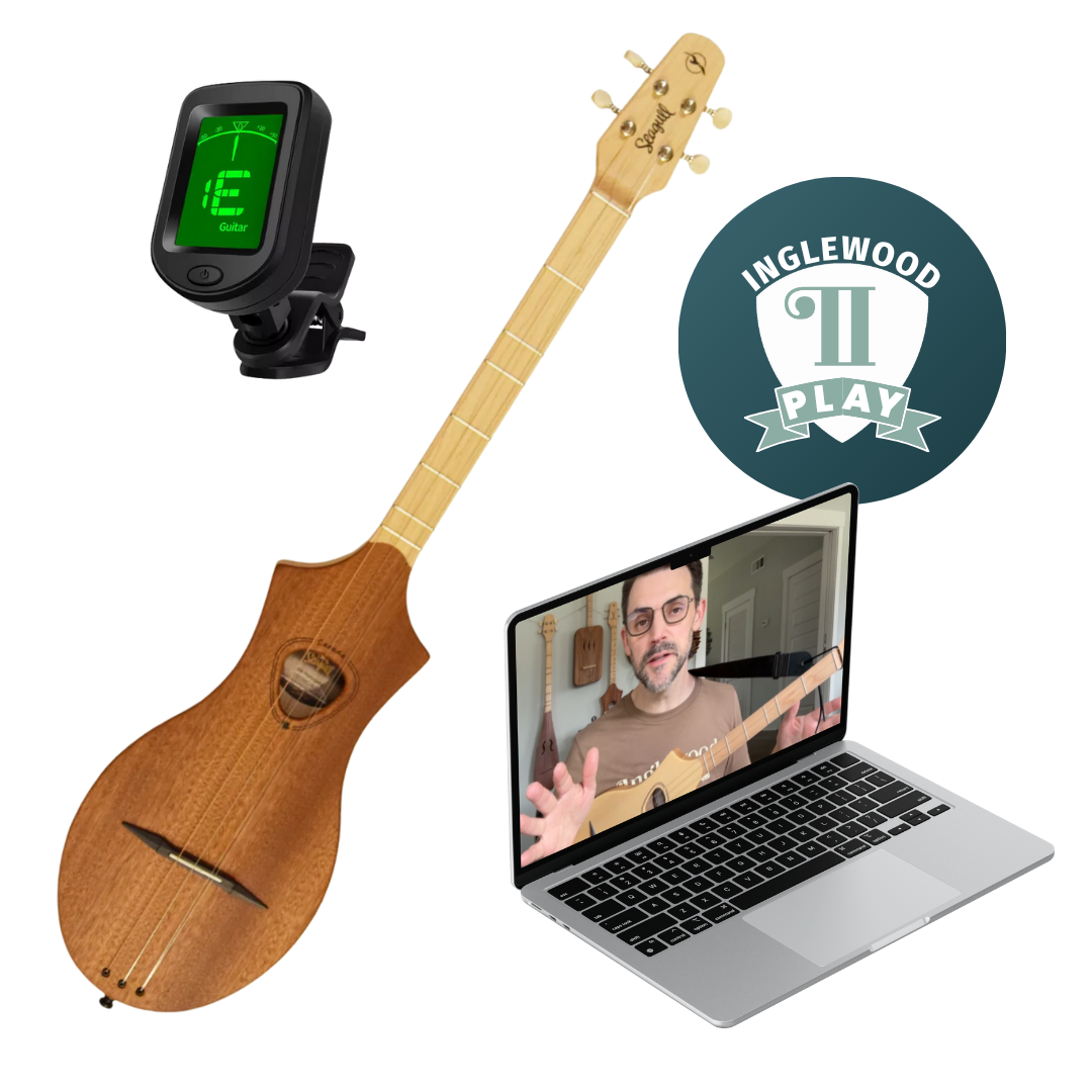 Merlin M4 Dulcimer Gift Set