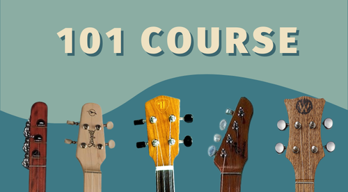 Learn to Play the Dulcimer Guitar: 101 Course