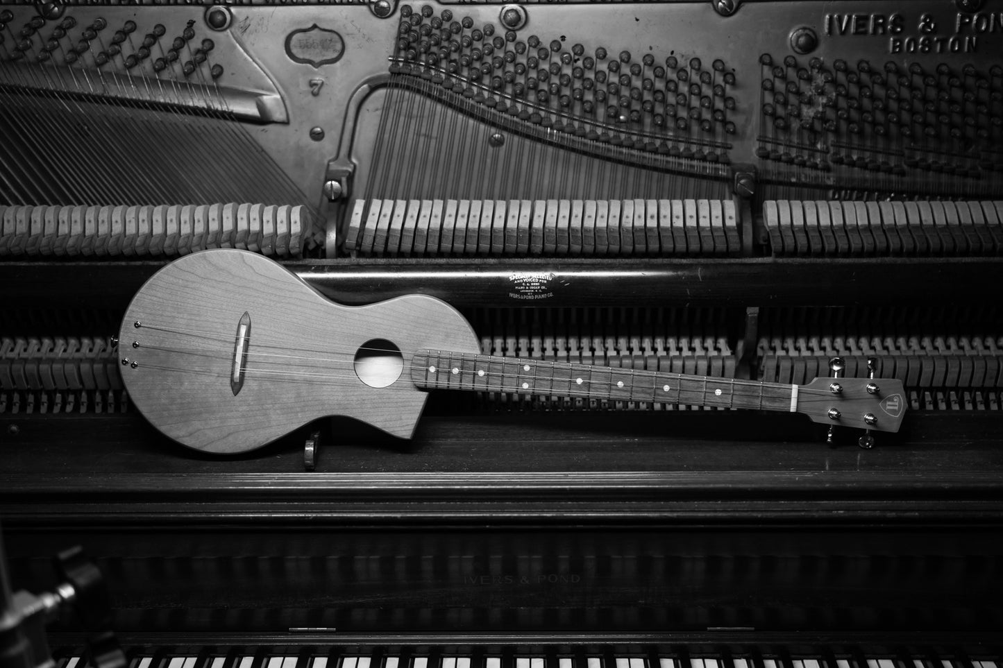 “The Cumberland” Chromatic River Dulcimer, Player's Edition